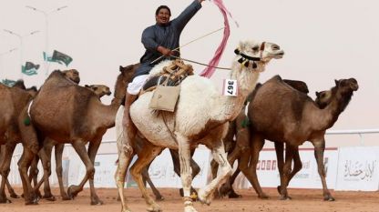 Мъж приветства зрителите, докато язди на фестивала на камилите „Крал Абдул Азиз“ в Саудитска Арабия.