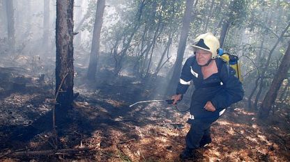 Възобновен е пожарът в района на с. Равна гора, Свиленградско
