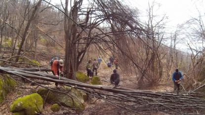 Ентусиасти в Белоградчик почистиха сами екопътека от паднали дървета