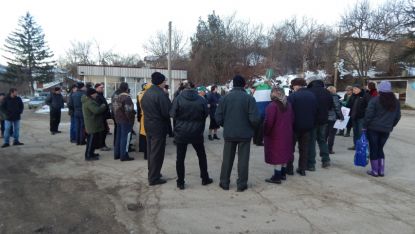 Близо 50 души се събраха на протест в Бранковци срещу незаконната сеч на 20 февруари т.г.