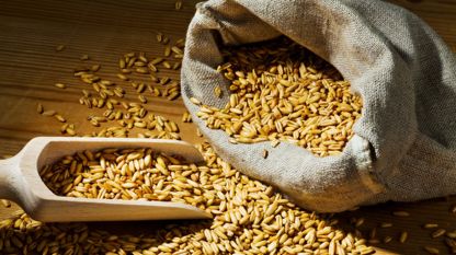 Беларус въведе временна забрана за износ на зърно включително за
