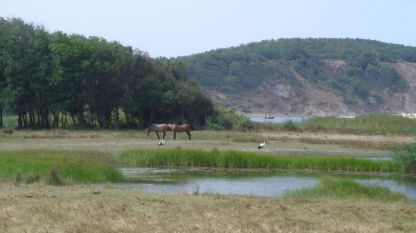 Устие на река Велека, което е част от Природен парк „Странджа”