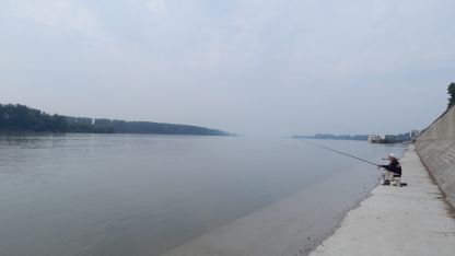 Нивото на река Дунав се покачи с над половин метър  в началото на българския участък