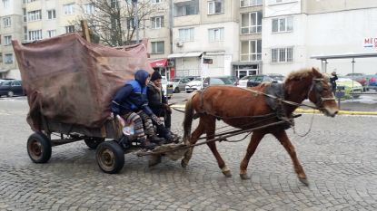 Наредбата за обществения ред в София урежда и движението на каруци по столичните улици.