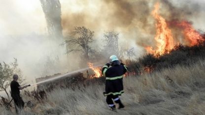 Бушува горски пожар край Хасково 