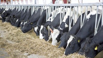 Високите цени на млечните продукти били заради климата