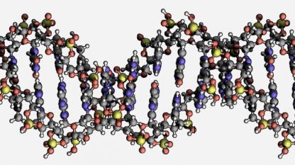 Схема на двойната спирала на ДНК структурата.