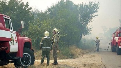 Пожар гори в ямболския парк "Боровец"