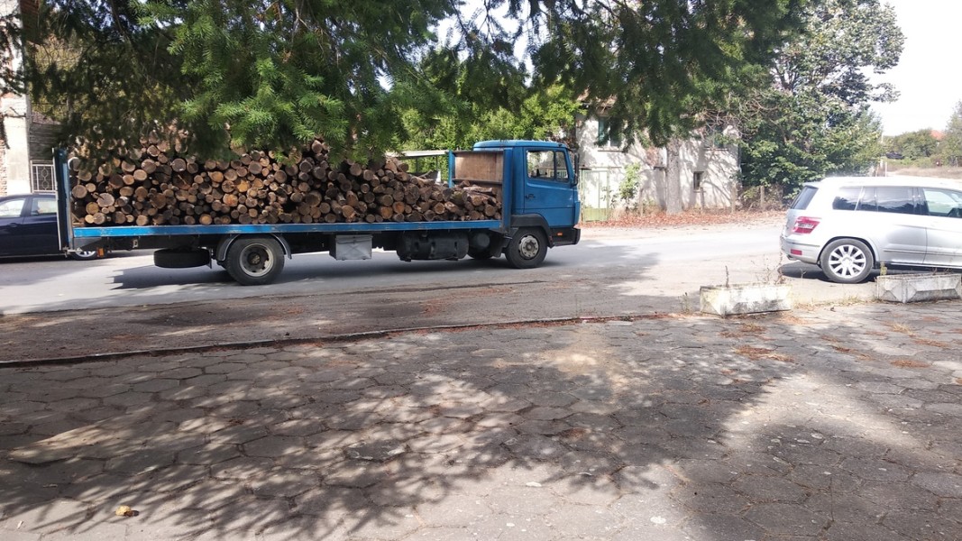  Снимка: Даниела Костадинова, БНР 