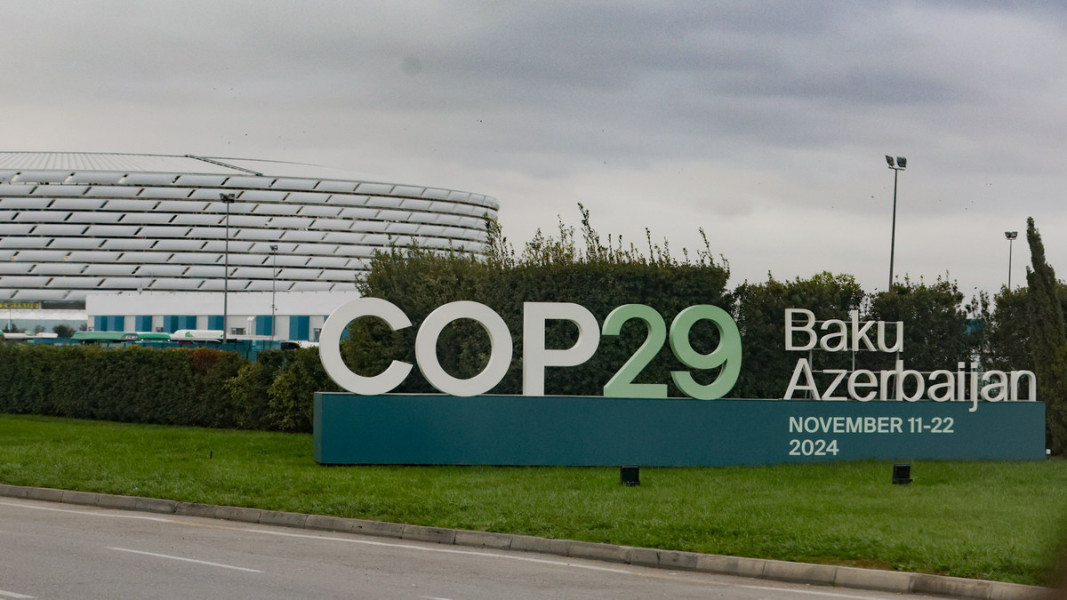  Снимка: Българска телеграфна агенция 