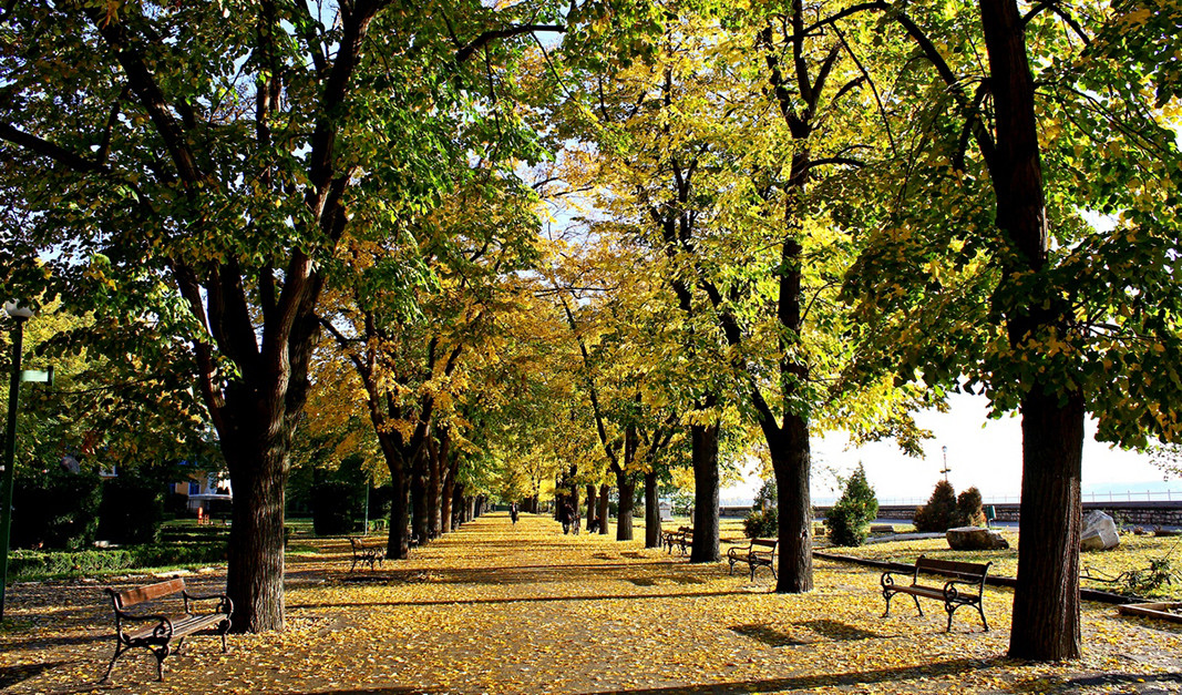 Крайдунавският парк