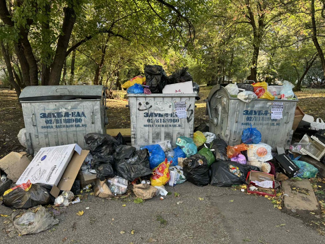 Контейнери за боклук в кв. 
