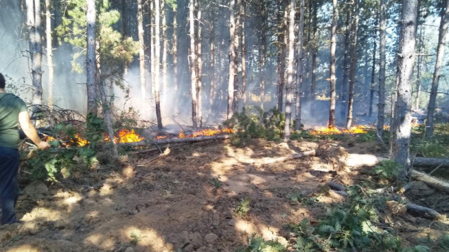 Продължава гасенето на пожара между ямболските села Раздел и Малко