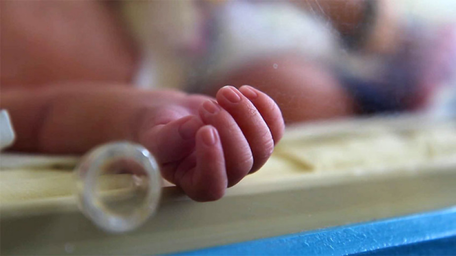 Две бебета са разменени в родилния дом в Логроньо, Испания,
