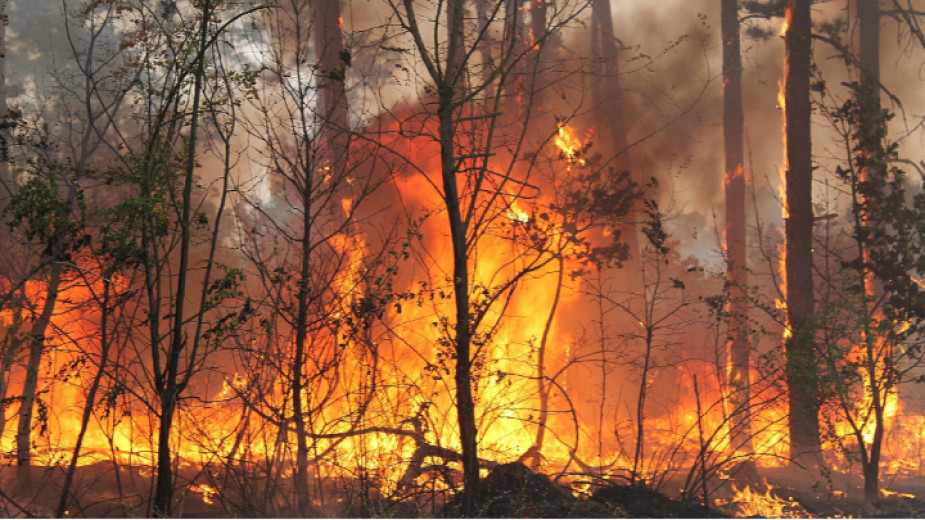 Пожарът  между ямболските села Малко Кирилово, Вълча поляна и Голям