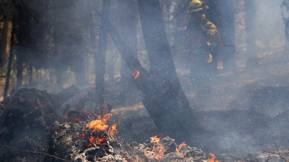 Най-мащабният активен пожар в САЩ, който бушува в щата Орегон,