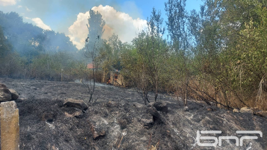 Пожар избухна в околностите на старозагорското село Пъстрово. От Пожарната