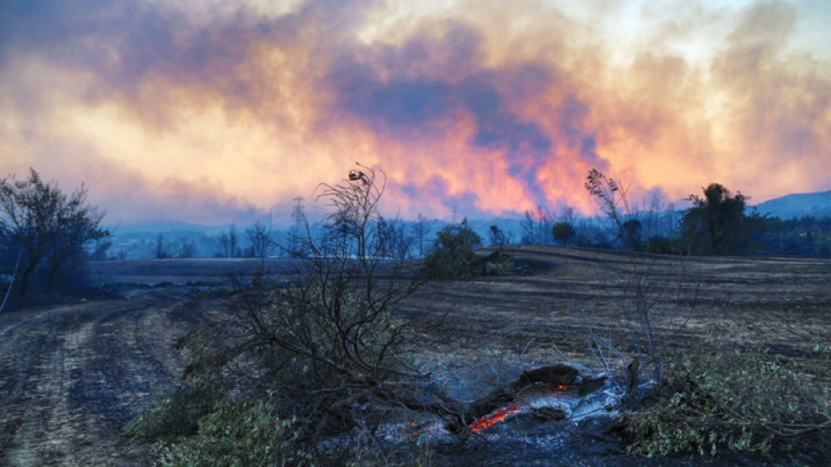 Седем горски пожара все още бушуват в Турция, включително в