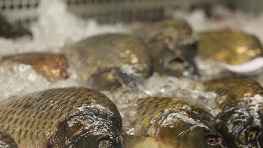 Предвижда се държавата да подпомогне производителите на рибни продукти с