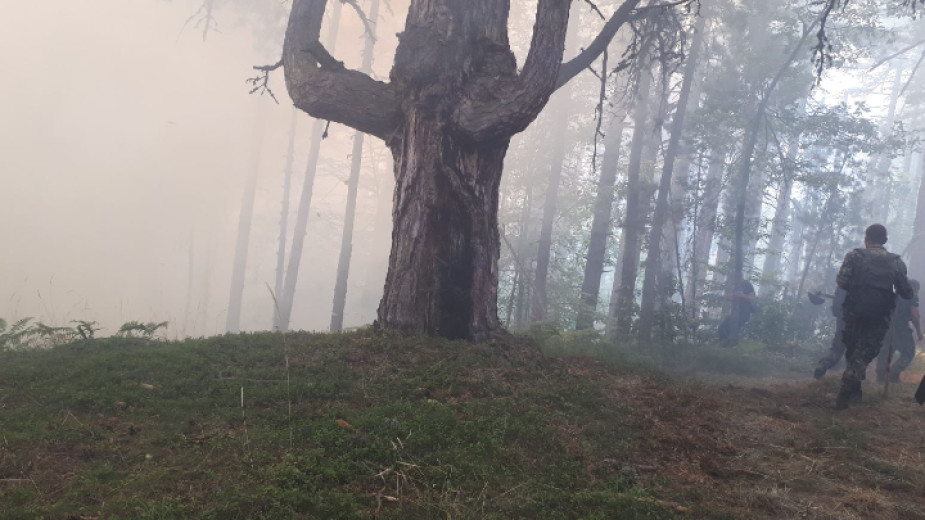 Продължава гасенето на пожара в района на родопското село Югово,