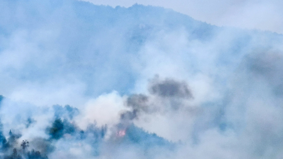 Локализиран е пожарът в района на санданското село Голешово. Огънят