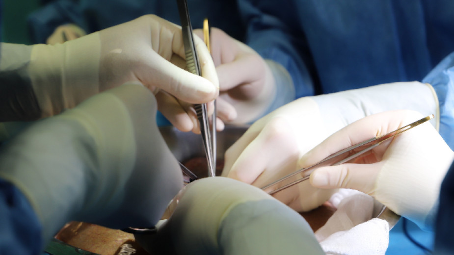 Агенцията по трансплантации е проверила чуждите гражданите, донори и трансплантирани