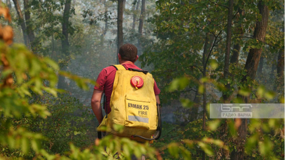 500 στρέμματα σκληρού δάσους καίγονται κοντά στην Provadia Ημέρα Τρίτη (ΦΩΤΟΓΡΑΦΙΕΣ)