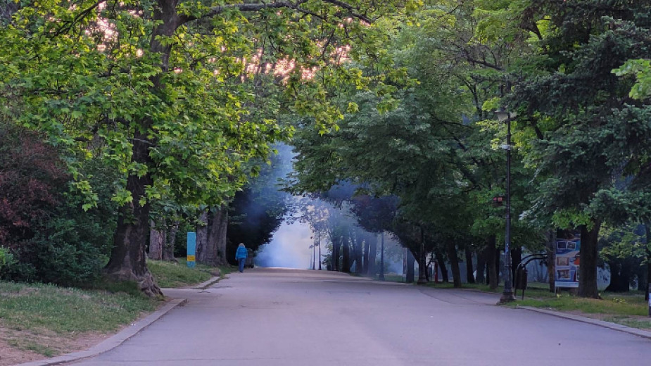 Συνεχίζουν να ψεκάζουν κατά των κροτώνων και των κουνουπιών στη Βάρνα