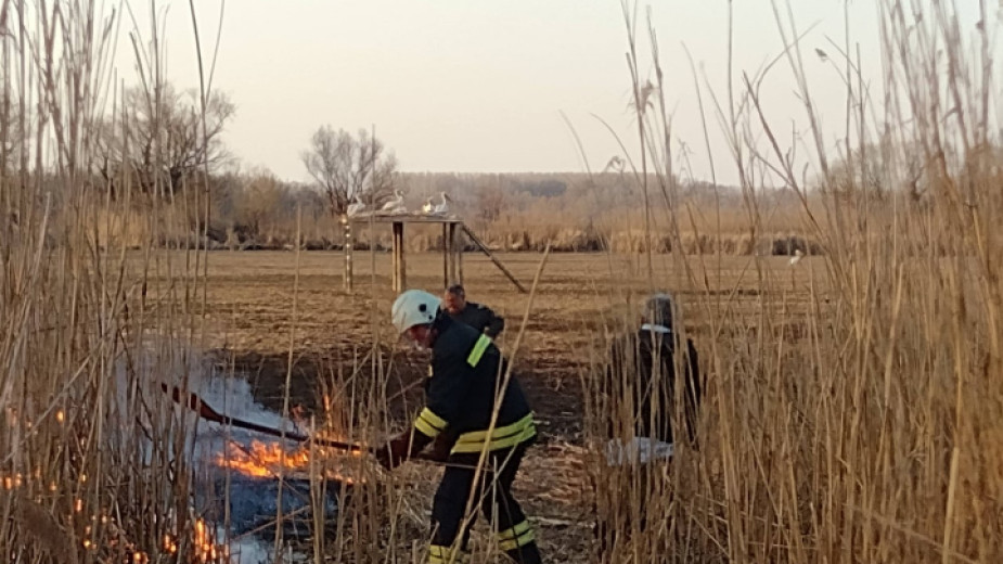 Пожари достигнаха до колонията от пеликани в Защитената местност Калимок-Бръшлен. За