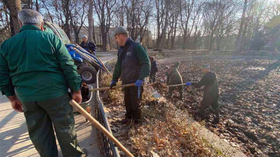 Тази седмица работници на ОП Паркове и градини“ почистват Езерото с