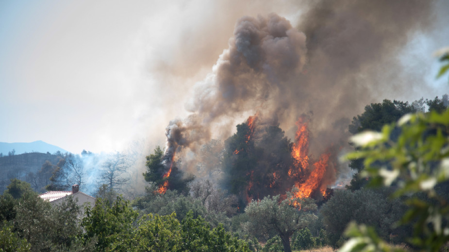 60 горски пожара са избухнали за 24 часа в Гърция.