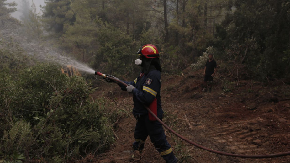 Десетки огнеборци се борят с нов мащабен пожар гасят на