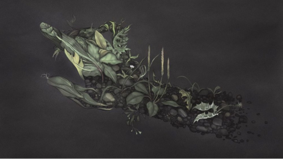 За първи път у нас галерия Little Bird Place представя