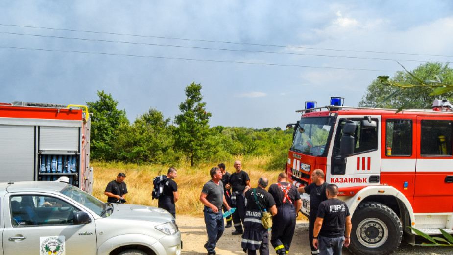 Пожарът край павелбанското село Виден е изгасен, съобщи за Радио