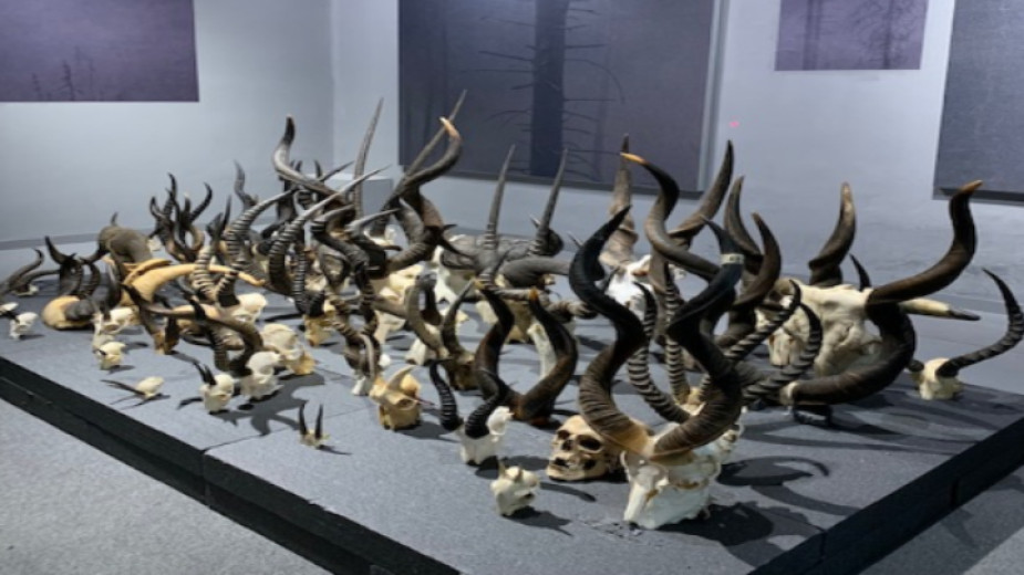 От 5 до 18 март в столичната галерия Райко Алексиев