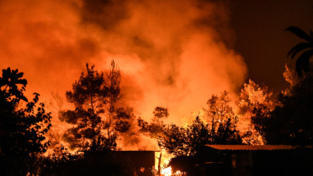 Гръцките власти са изпратили подкрепления в борбата на пожарникарите с големия горски пожар