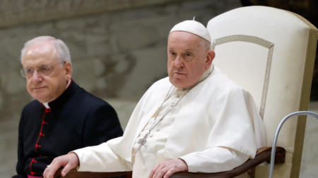 Папа Франциск на седмичната обща аудиенция в зала Паоло VI, Ватикана, 29 ноември 2023 г.