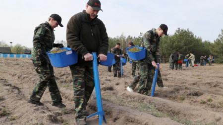 Президентът на Беларус Александър Лукашенко оглавиакция за масово засаждане на дръвчета.