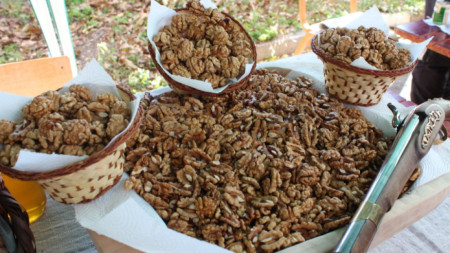 Празник на ореха в село Голямо Дряново