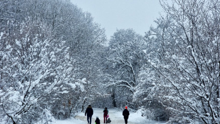 На пързалка в близост до хижа 