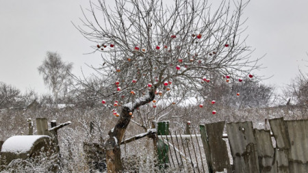 През изминалата седмица в Украйна заваля първият сняг