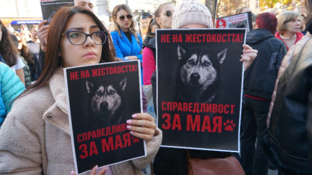 Протест срещу насилието над животните пред Съдебната палата в София на 15.11.2025 г.