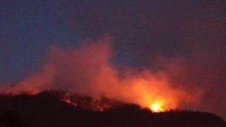 Втори ден горят  борови гори и сухи треви над Босилеград