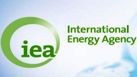 Международна агенция по енергетика (МАЕ) 