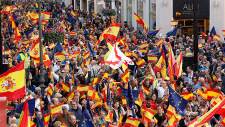 На протеста, свикан от десни партии срещу т. нар. Закон за амнистията, в Мадрид, Испания, 12 ноември 2023 г.