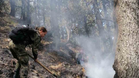 Военнослужещи от Сухопътните войски продължават да участват в гасенето на пожара в планината Славянка край село Голешово.