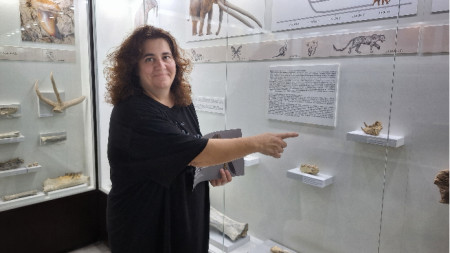 Доц. Светла Далакчиева пред изложбата в музея, която посетителите ще могат да разгледат от днес.