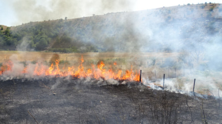 Пожар е възникнал край  ивайловградското  село Свирачи Горят широколистна гора