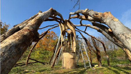 Работа ан румен Димитров - Попа 