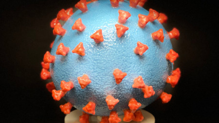 Модел на новия коронавирус, причиняващ Covid-19, National Institutes of Health (NIH)